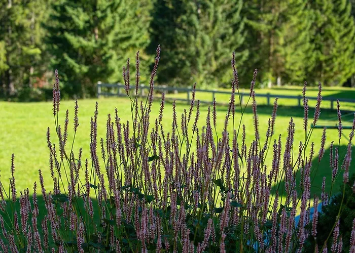 Gaestehaus Schoenberg لوتاش