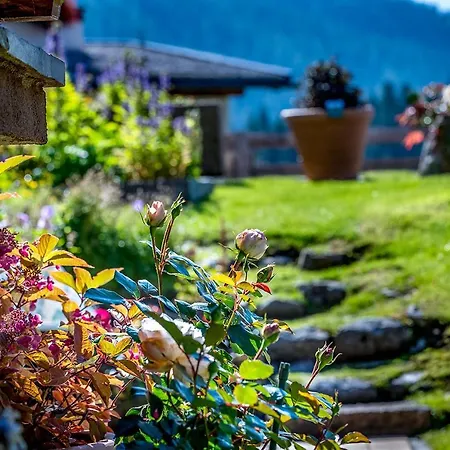 Gaestehaus Schoenberg Daire Leutasch